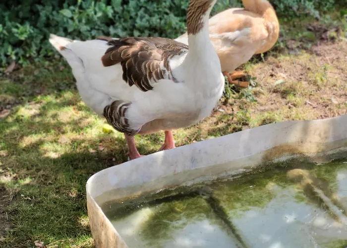 Lejlighed Welling Horn-Bad Meinberg